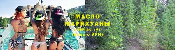 твердый Новодвинск