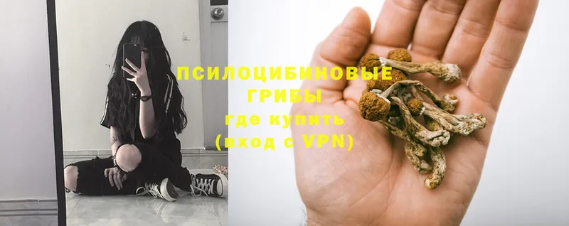 Псилоцибиновые грибы Magic Shrooms  Слюдянка 