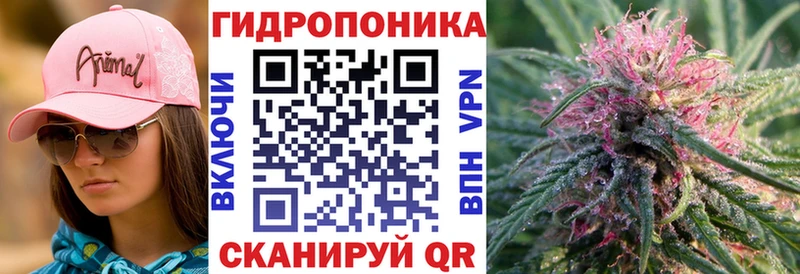 Конопля Amnesia  цена наркотик  Слюдянка 